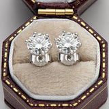 Superb D Colour 1/2/4/6 cttw Moissanite Diamonds Stud Earrings for Women and Men - Sparkling Fine Jewellery - The Jewellery Supermarket