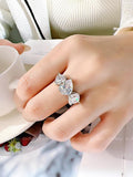 Light Luxury White Diamond Ring Set with High Quality AAAAA High Carbon Diamonds for Women, Versatile Jewellery - The Jewellery Supermarket