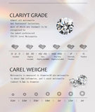 Brilliant Flower Design 18K White Gold Plated Moissanite Diamonds Stud Earrings Silver Party Fine Jewellery - The Jewellery Supermarket