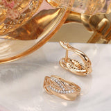 Fashion Geometry Rose Gold Micro-wax Inlay AAA+ Natural Zircon Earrings - The Jewellery Supermarket